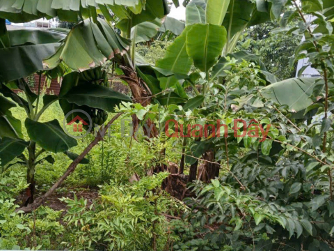 50 million discount! Beautiful Square Land, Car Alley, 89m2 – Thanh Loc 29, District 12 _0