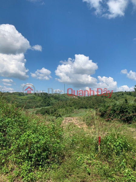 Property Search Vietnam | OneDay | Nhà ở, Niêm yết bán Bán lô đất vườn 1,4ha Sông Hinh - Phú Yên giá quá rẻ chỉ 550tr