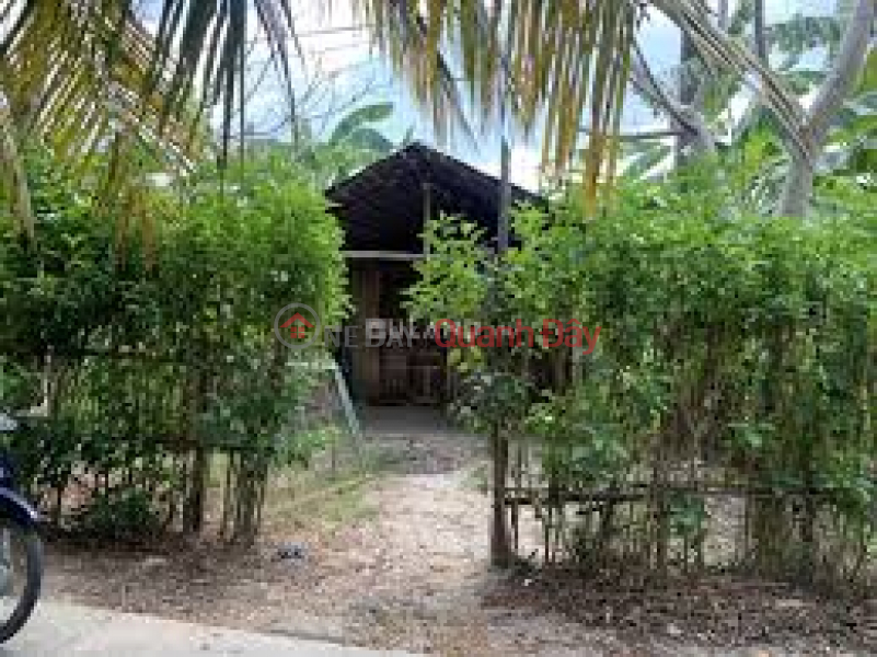 Agricultural land for sale at Duong Ky Hiep Street, Ward 2, City. Soc Trang | Vietnam Sales, đ 40 Billion