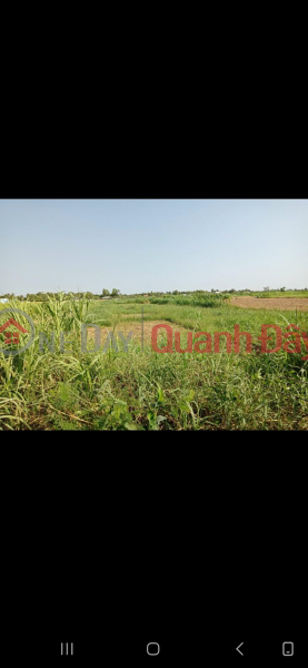 ₫ 3 Billion PRIME LAND - GOOD PRICE - Selling Location Land Lot in Binh Trung Dong hamlet, Binh Nhi commune, Go Cong Tay, Tien Giang