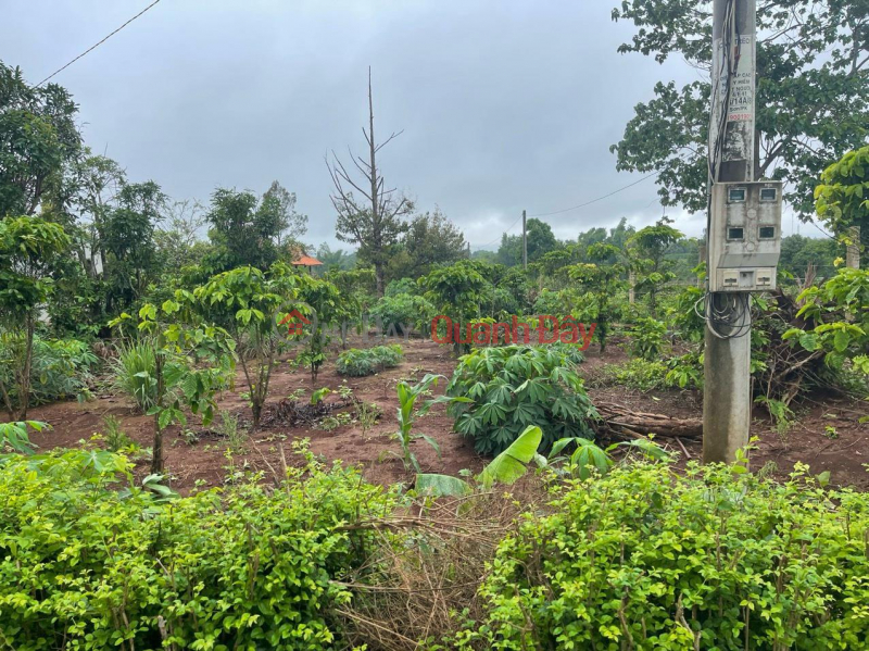 đ 410 Million Beautiful Land - Good Price - Owner Needs to Sell Land Lot in Nice Location in Tan Son Commune, Pleiku Gia Lai City