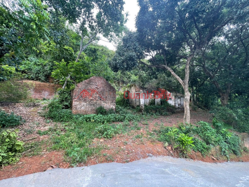 RESORT LAND FOR SALE 1267M2 IN TIEN PHUONG-CHUONG MY WARD-HANOI Sales Listings