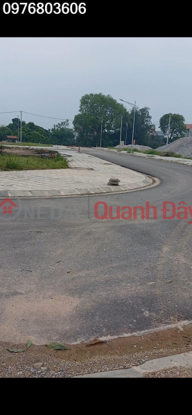 Property Search Vietnam | OneDay | Residential Sales Listings, EXTREMELY RARE: land for sale in Hoang Van residential area, Pho Yen city, 250m MT, 13m road on all four sides, price more than
