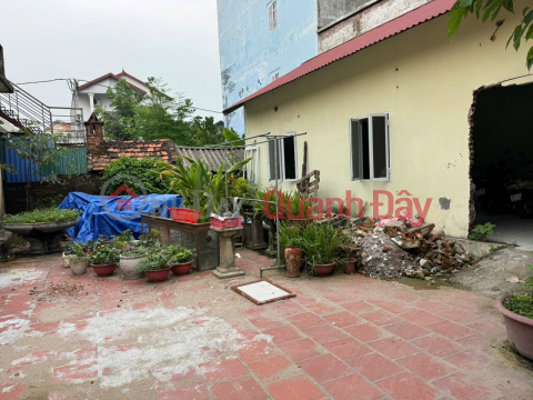 Bán Gấp Lô Đất 84m² Kèm Nhà Cấp 4 Tại Chi Đông, Mê Linh - Tiện Ích Đỉnh Cao, Đầu Tư Sinh Lời _0