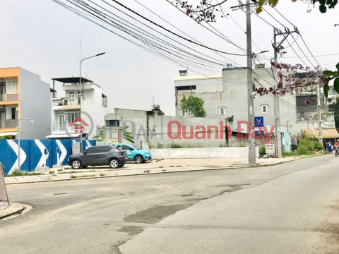 Affordable, next to Dong Tang Long Urban Area, P Lot Land, 50m2, only 2.98 billion _0