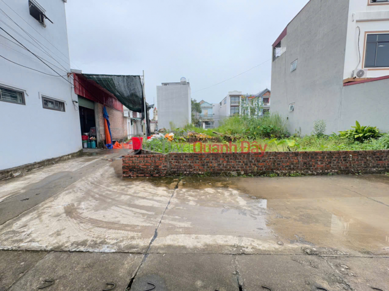 Urgent Sale of Unique Corner Lot with 2 Street Frontages - Good Price in Ap Tre Village, Quang Minh, Hanoi, Vietnam, Sales | đ 5.55 Billion