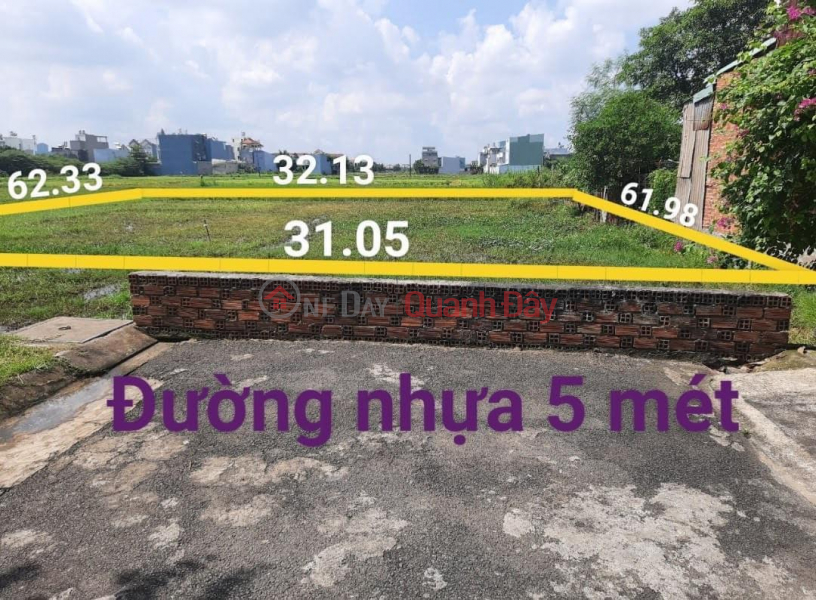 BEAUTIFUL LAND - GOOD PRICE - Quick Sale Land Lot In Xuan Thoi Thuong Commune, Hoc Mon District, Ho Chi Minh City Sales Listings