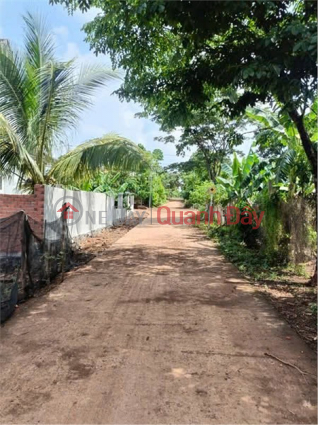 BEAUTIFUL LAND - INVESTMENT PRICE - OWNER URGENTLY NEEDS TO SELL LAND LOT in Hoa Phu Commune, Buon Ma Thuot City, Dak Lak, Vietnam | Sales, đ 700 Million
