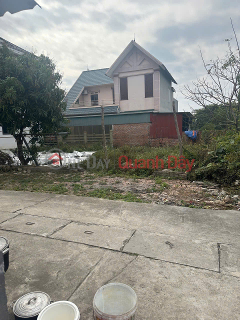 Land for sale in Thanh Lam, Me Linh, Hanoi. Near Me Linh Flower and Fruit Market. The largest wholesale market in the North. _0