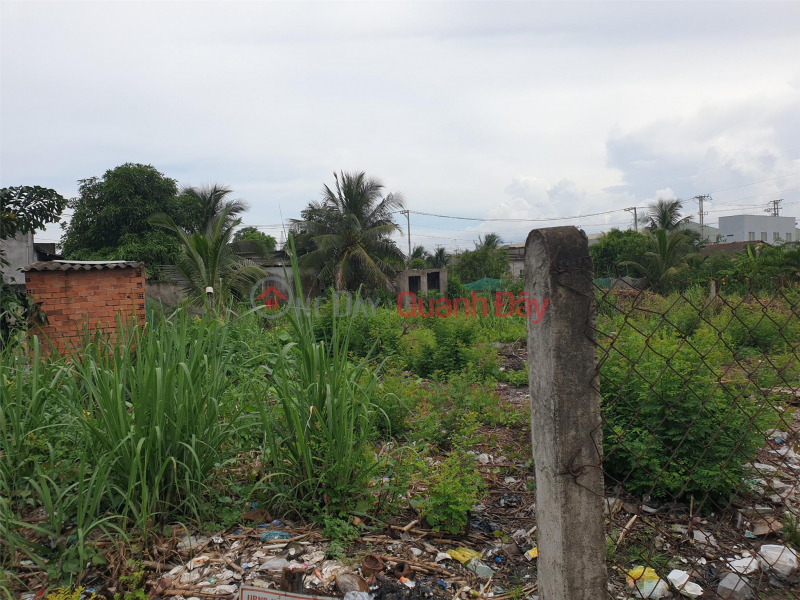 ORIGINAL LAND - URGENT SELL 2 Adjacent Plots In Long Dinh Commune, Can Duoc District - Long An | Vietnam | Sales, đ 1.3 Billion