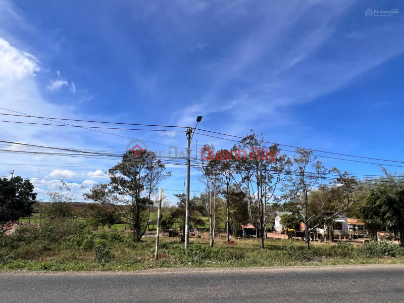 Property Search Vietnam | OneDay | Residential | Sales Listings, The owner quickly sold a very beautiful, super rare piece of land at a cheap price in Ngo Quyen, Tra Da commune, Plei Ku city