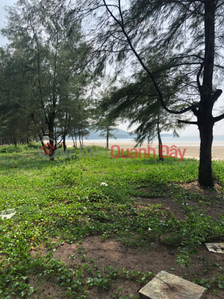 , Làm ơn chọn, Nhà ở | Niêm yết bán đ 50 tỷ