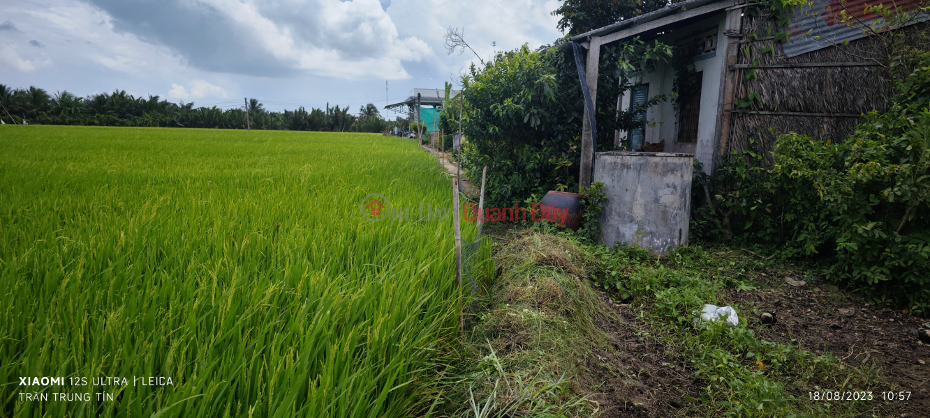 Urgent sale of rice land in Nhut Ninh commune for 1.2 billion, Vietnam Sales ₫ 1.2 Billion