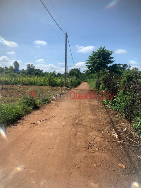 BEAUTIFUL LAND - GOOD PRICE Owner Needs To Sell Quickly Land Plot Beautiful Location In Dak Lak _0