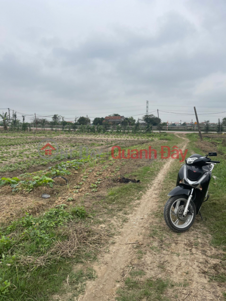 FOR QUICK SALE FOR OWNERS Beautiful Land Plot In Cam Giang Town, Cam Giang District, Hai Duong Province Vietnam Sales | ₫ 1.2 Billion