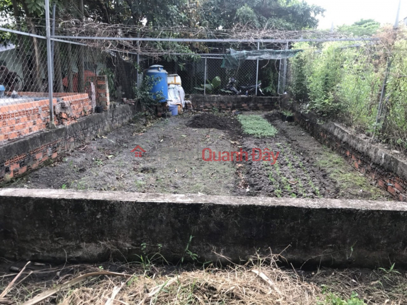 L2067 ️ đất Thạnh Xuân 25 Q12, SHR, Vuông, 5x13.4m, 1.x tỷ Niêm yết bán