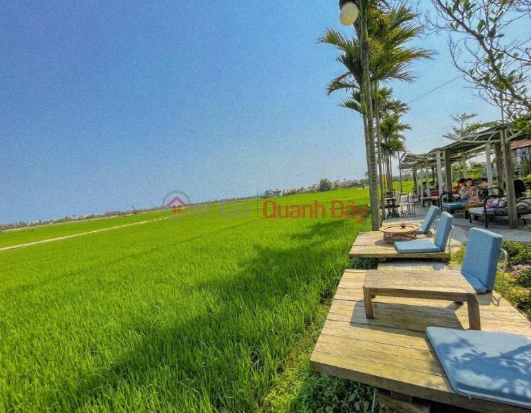 Hoa Vang land has a lot of potential, the price is cheap, only 410 million to own Sales Listings