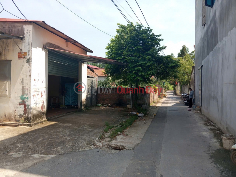 Property Search Vietnam | OneDay | Nhà ở Niêm yết bán | Bán đất Thuận Thành, Bắc Ninh. 100m2 * mt 5m * 3,25 tỷ. ô tô thông, vào đất.