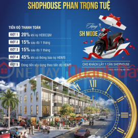 Realtimes Investor Introduces the hottest Palmy Biztown project in Thanh Tri _0
