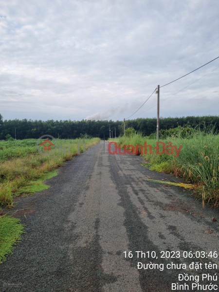 đ 900 Million BEAUTIFUL LAND - GOOD PRICE - For Quick Sale Land Lot Prime Location In Tan Phu Town, Dong Phu, Binh Phuoc