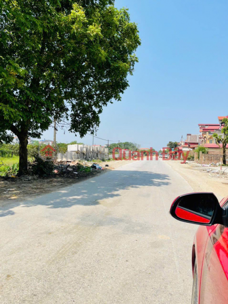 Trinh Xa, Chi Dao, Van Lam auction subdivision for sale, cheapest price on the market Vietnam, Sales ₫ 2.2 Billion