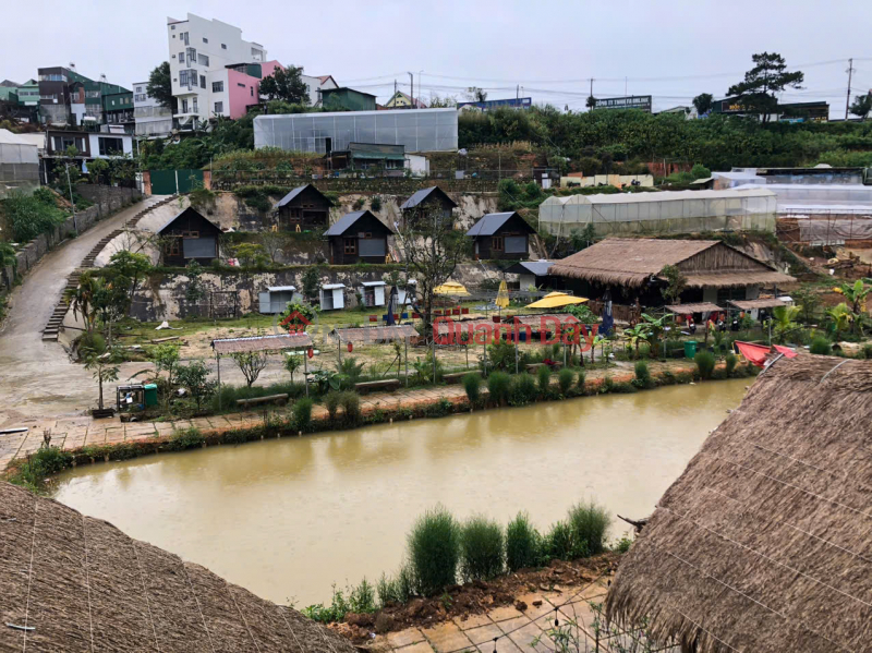 đ 50 Million/ month | Homestay Dankia, Ward 7, Da Lat for rent: 50 million VND\\/month