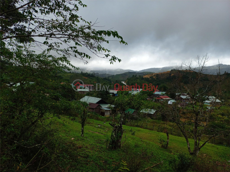 Selling Mang Den land plot at extremely cheap price to spend money for Tet | Vietnam Sales | đ 111.11 Million