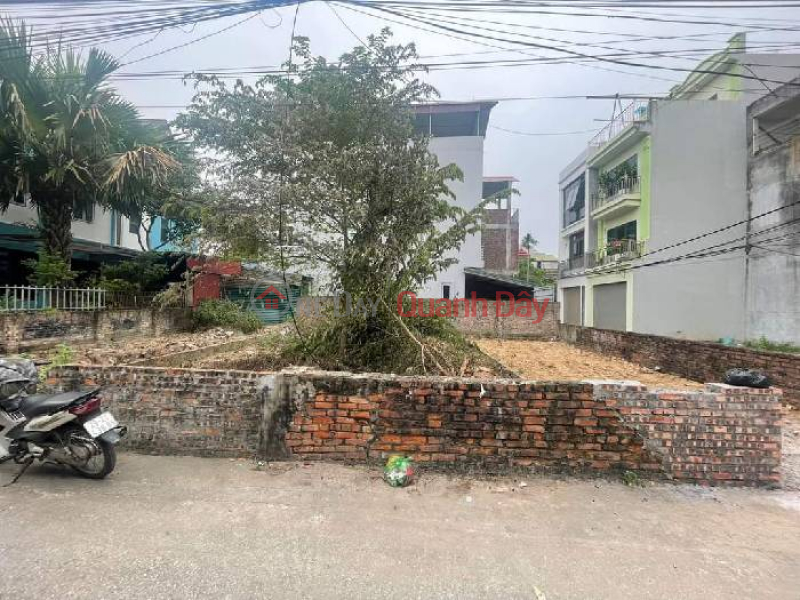 Land for sale in Tho Bao village, Van Noi, 54m x 4m, avoiding the main road, clear alley, price only 3.x billion TL. Contact: 0936123469 Sales Listings