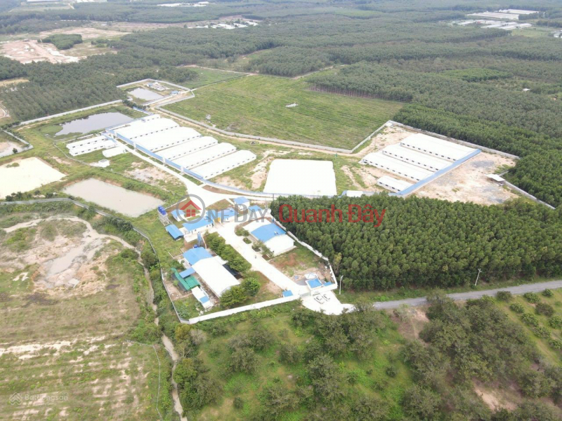 Stable Pig Farm for Sale. Vietnam Sales | ₫ 39 Billion