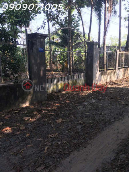 Property Search Vietnam | OneDay | Residential Sales Listings For sale: 1690m2 vacation home with a ready-built, fully equipped single-story house in Tan Trieu Ward, Bien Hoa City.