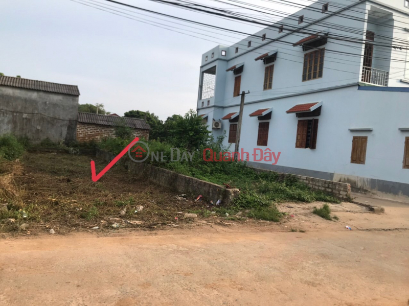 Property Search Vietnam | OneDay | Nhà ở, Niêm yết bán | Cần bán gấp trục chính thôn Bình Yên. Chính chủ