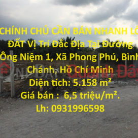 OWNER NEEDS TO QUICKLY SELL LOT OF LAND Prime Location In Binh Chanh District - HCM _0