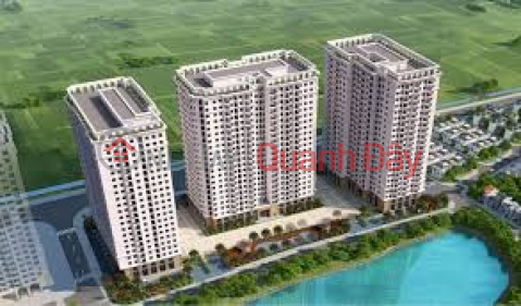 Only 5 units remaining from the Ruby Park Phuc Loi diplomatic allocation - the best price in the project right now! _0