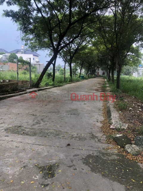 OWNER Needs to Sell Land in Good Location in Binh Minh Commune, Trang Bom District, Dong Nai _0