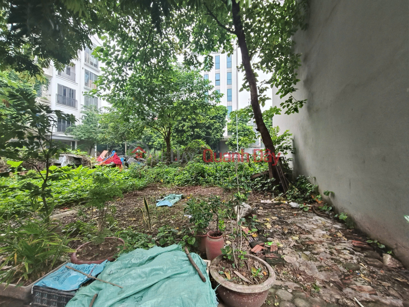 Commercial land for sale in Dong De, Duong Noi, area 50m2, frontage 4m, suitable for car access, price 12.5 billion VND, Ha Dong. Sales Listings