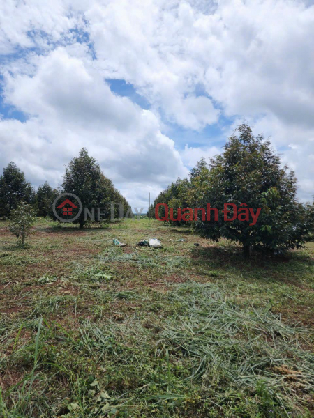 BEAUTIFUL LAND - GOOD PRICE For Quick Sale Land Lot Nice Location In Duc Manh Commune, Dakmil, Dak Nong Sales Listings