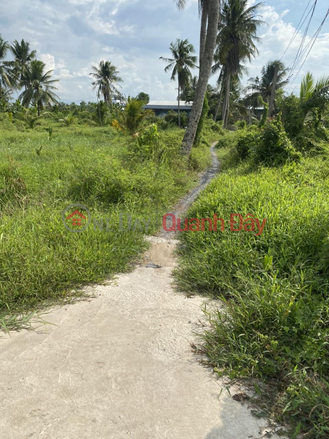 BEAUTIFUL LAND - GOOD PRICE - Urgent Sale Garden Land Lot Nice Location In Chau Thanh, Tien Giang _0