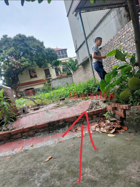 Beautiful plot of land at the beginning of Dai Ban village, 100m2 - 8.6m wide frontage, 9m wide back - price 5 billion Sales Listings