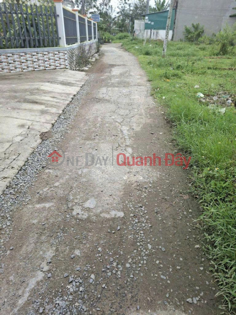 Bán ĐẤT CHÍNH CHỦ - GIÁ TỐT - 3824M2 giá 6,2 tỷ Tại Láng Dài, Đất Đỏ, Bà Rịa Vũng Tàu _0