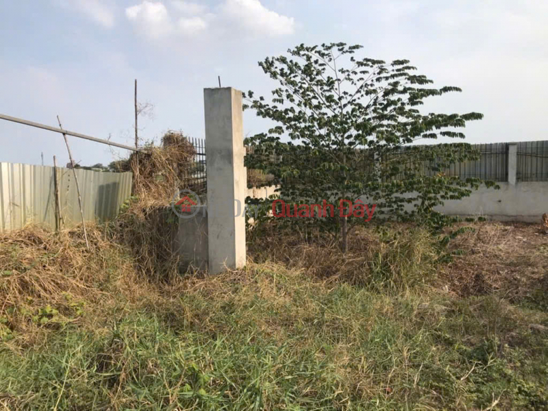 Đất Vuông SHR HXH 1440m2 – Trương Thị Như Hóc Môn | Việt Nam, Bán, đ 6,9 tỷ