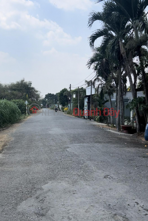 Owner Needs to Sell Land Lot in Nice Location at No. 40, Trinh Thi Ghat Street, Tan An Hoi Commune, Cu Chi _0