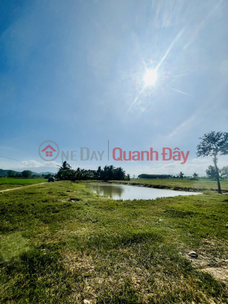 CODE 969 (NH-25): SELLING RESIDENTIAL LAND LOT IN PHUOC LAM, NINH XUAN INVESTMENT PRICE Sales Listings