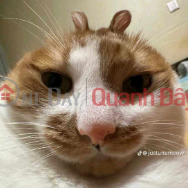 price (JTFYJ-449453554)_0