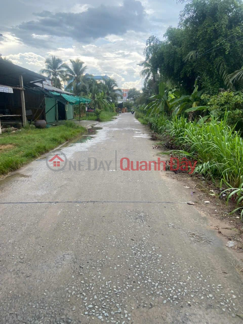 QUICK SALE OF Beautiful PRIME LOT OF LAND IN Thanh Phu Dong Commune, Giong Trom, Ben Tre _0