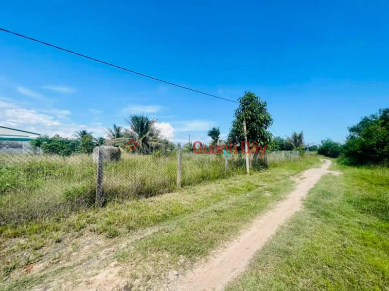 Property Search Vietnam | OneDay | Residential Sales Listings | OWNER QUICK SALE OF LAND LOT IN Ninh Tho Commune, Ninh Hoa, Khanh Hoa - EXTREMELY CHEAP PRICE