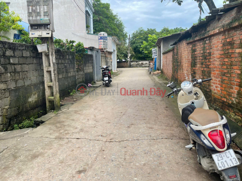 Property Search Vietnam | OneDay | Residential | Sales Listings, SUPER INVESTMENT PRODUCT IN THE MAIN BUSINESS AXIS 1TY7 LAND IN DONG SON-CHUONG MY AREA: 55M2