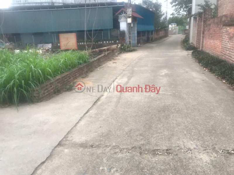 BEAUTIFUL LAND LOT FOR SALE AT GOOD PRICE IN THAI LAI VILLAGE, MINH TRI, SOC SON, HANOI, Vietnam, Sales đ 2.0 Billion