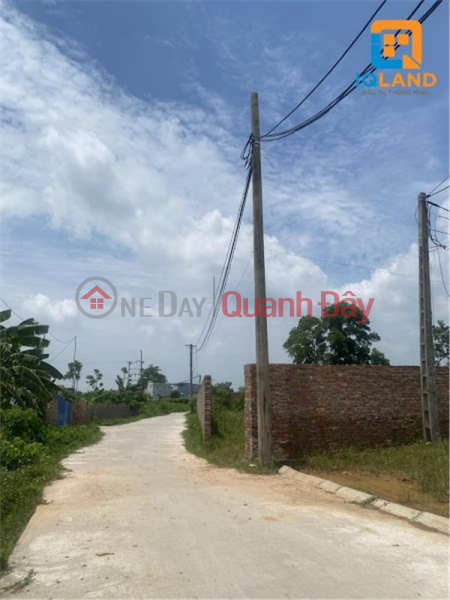 Just Over 400 Million Own Now Xuan Dong Land Lot Tan Minh Soc Son 6m Street Super Nice Price For Investors | Vietnam | Sales, ₫ 400 Million