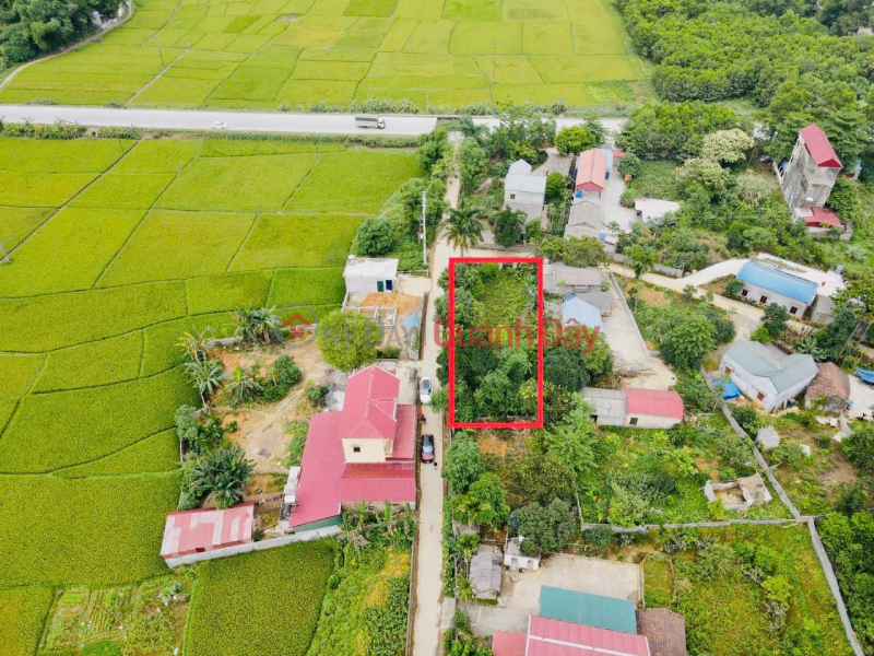 Property Search Vietnam | OneDay | | Sales Listings View of the fields