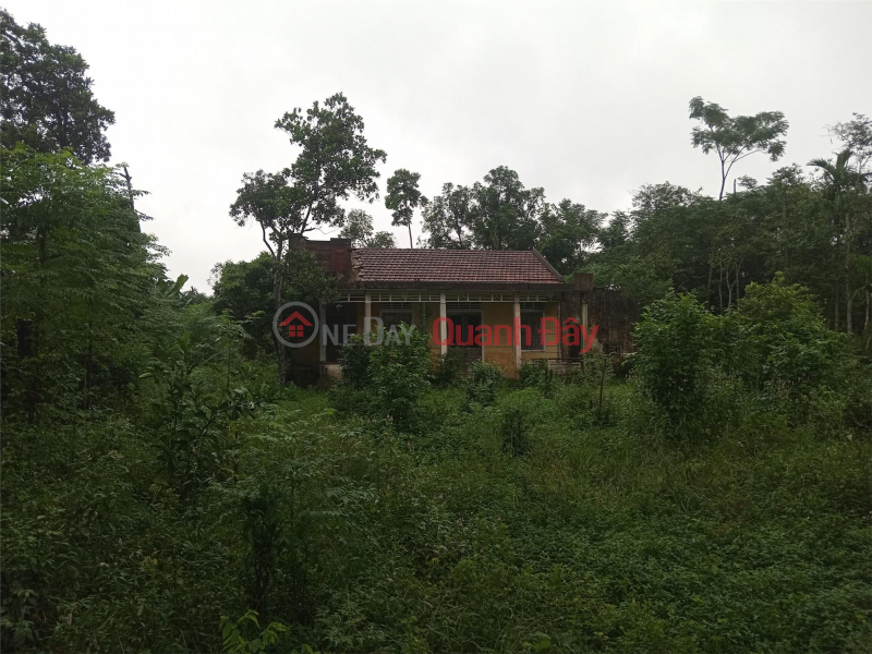 BEAUTIFUL LAND - GOOD PRICE - Villa Land for Sale in Hai Son Commune, Hai Lang District, Quang Tri Sales Listings